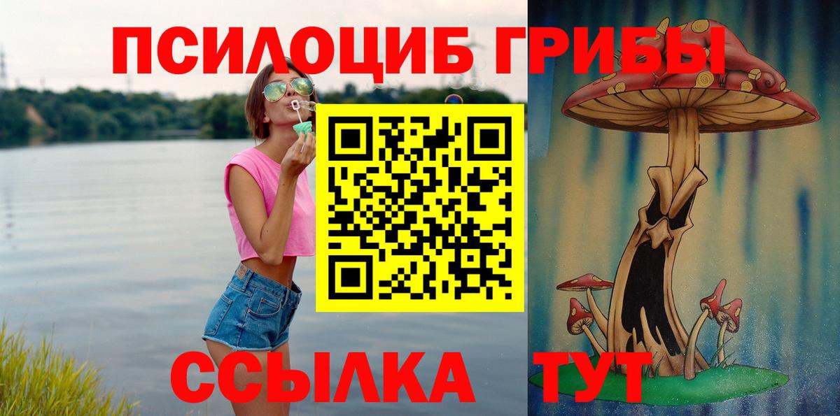 Галлюциногенные грибы прущие грибы Шатура